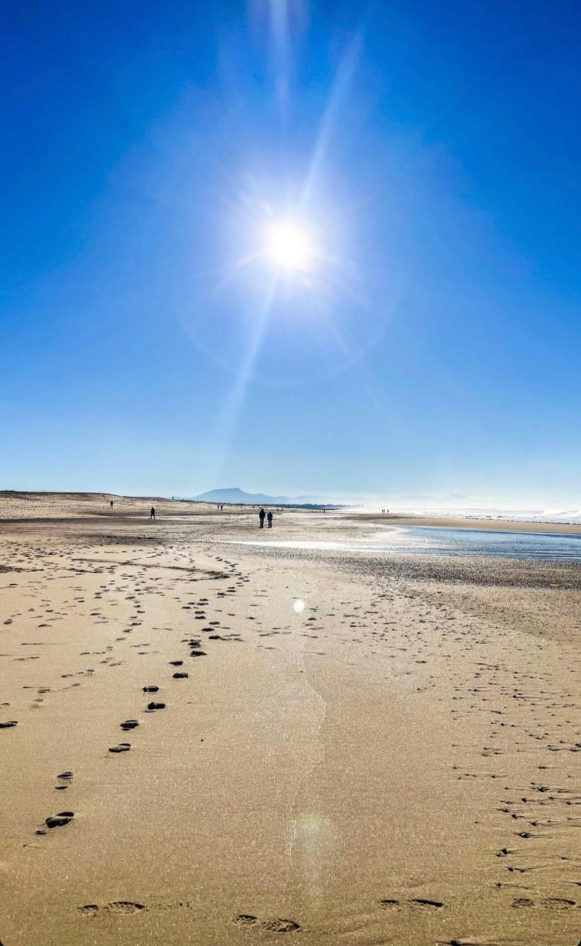 T3 Labenne Capacite 6 Couchages 10Min De La Plage Zewnętrze zdjęcie